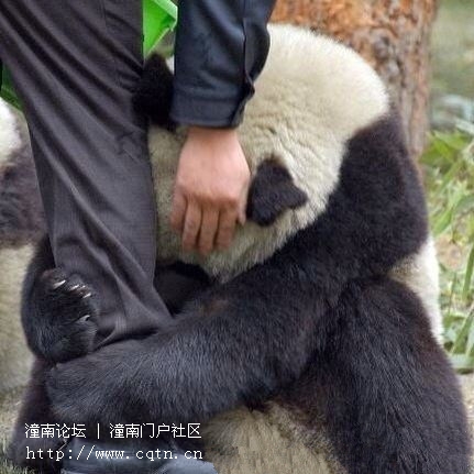 2000_副本.jpg