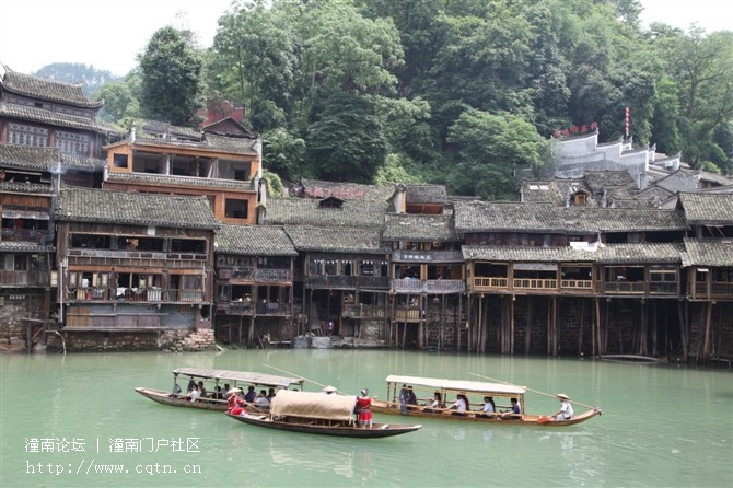 凤凰7.jpg