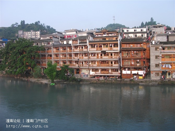 凤凰3.jpg
