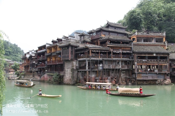凤凰6.jpg