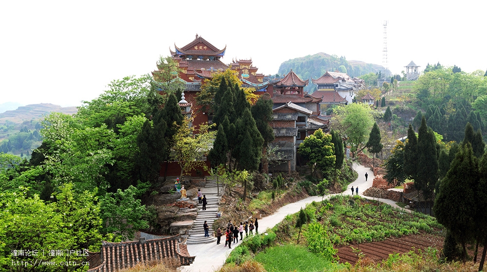 春风飞渡卧佛寺(周南岭摄)DSC_1581a.jpg