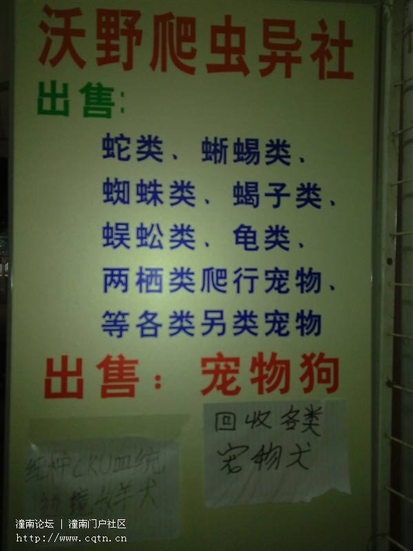 93c0b48fa7ee8682f11f3620.jpg