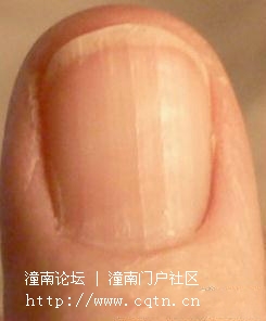 请输入描述
