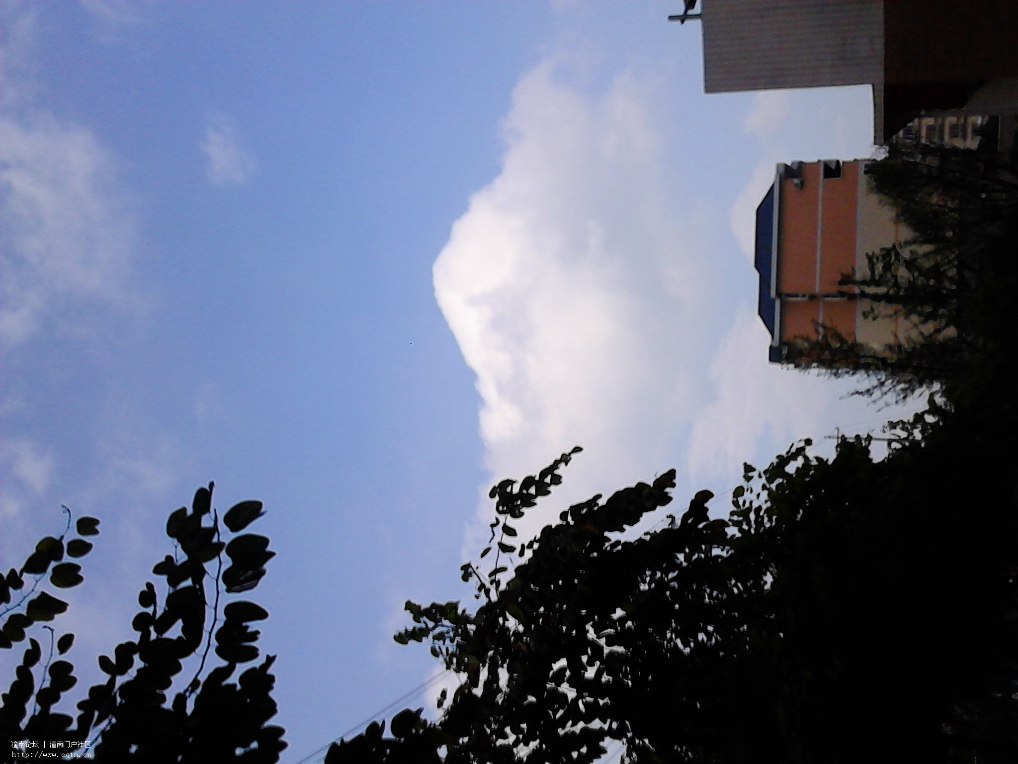 IMG_20130514_172754.jpg