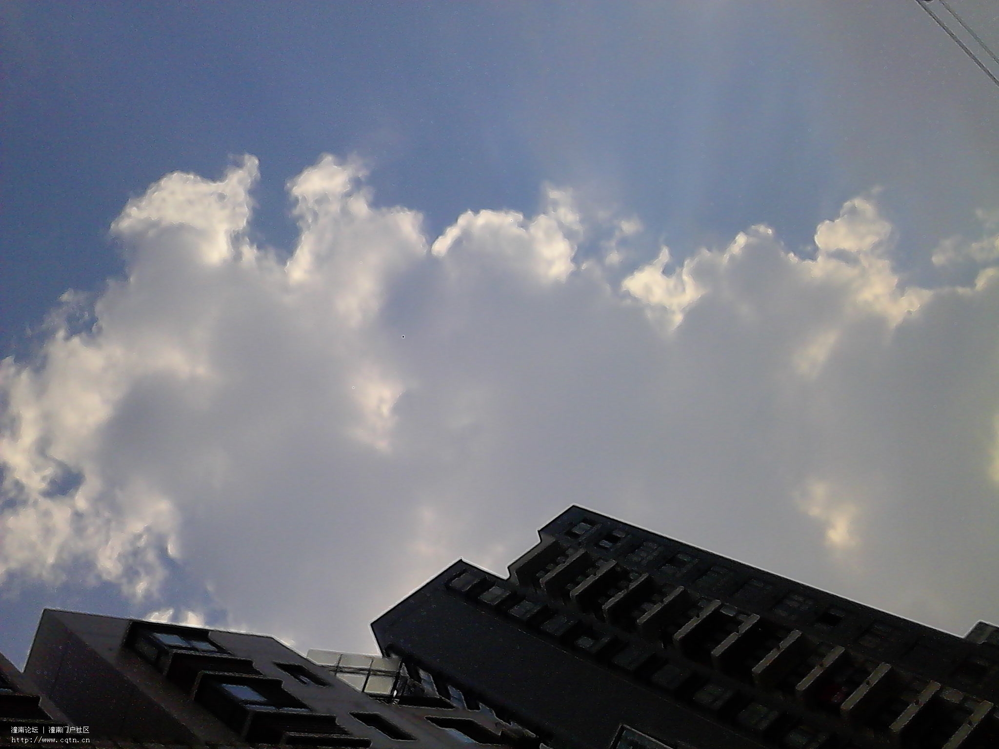 IMG_20130514_163154.jpg