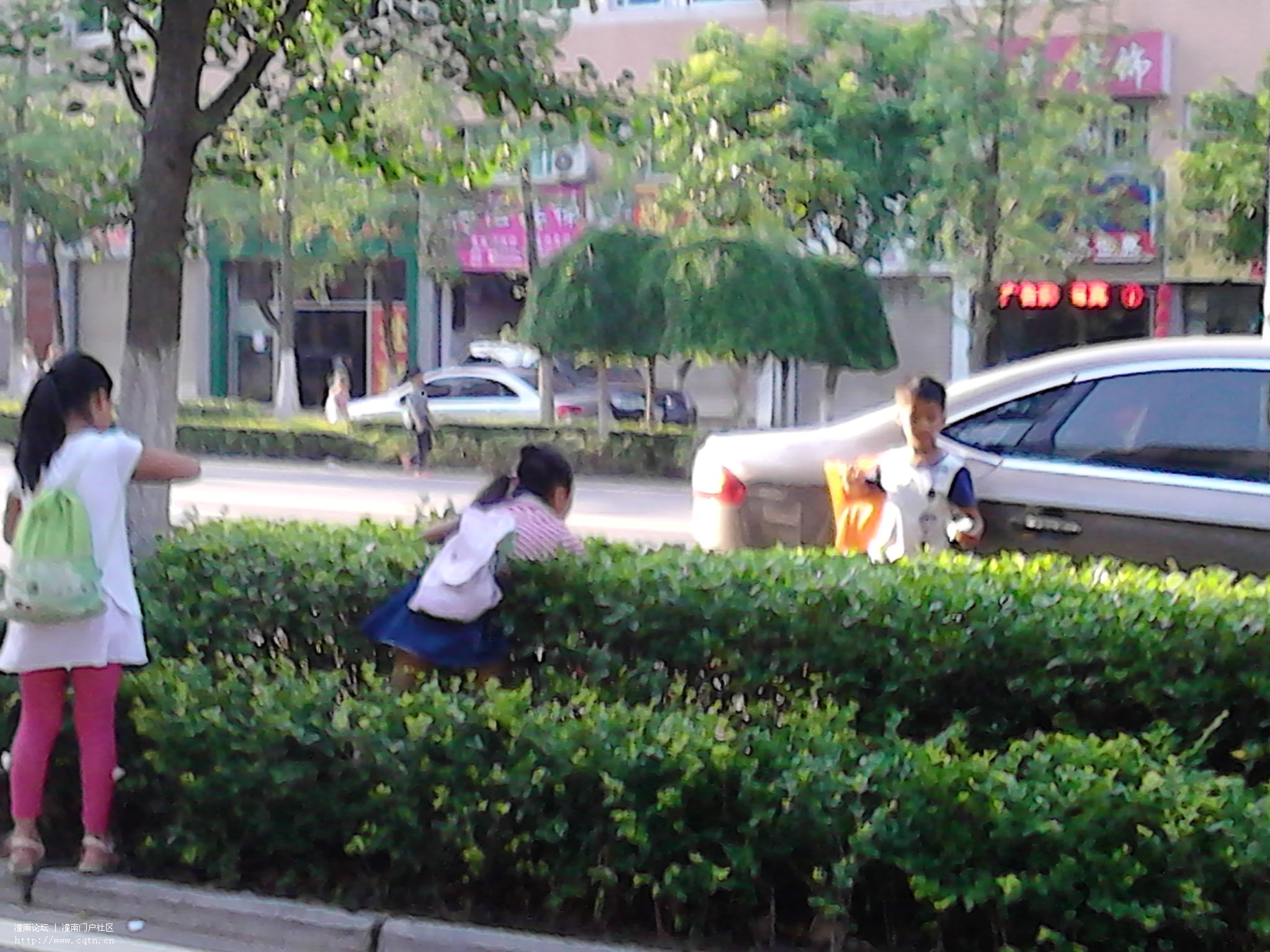 IMG_20130520_180443.jpg