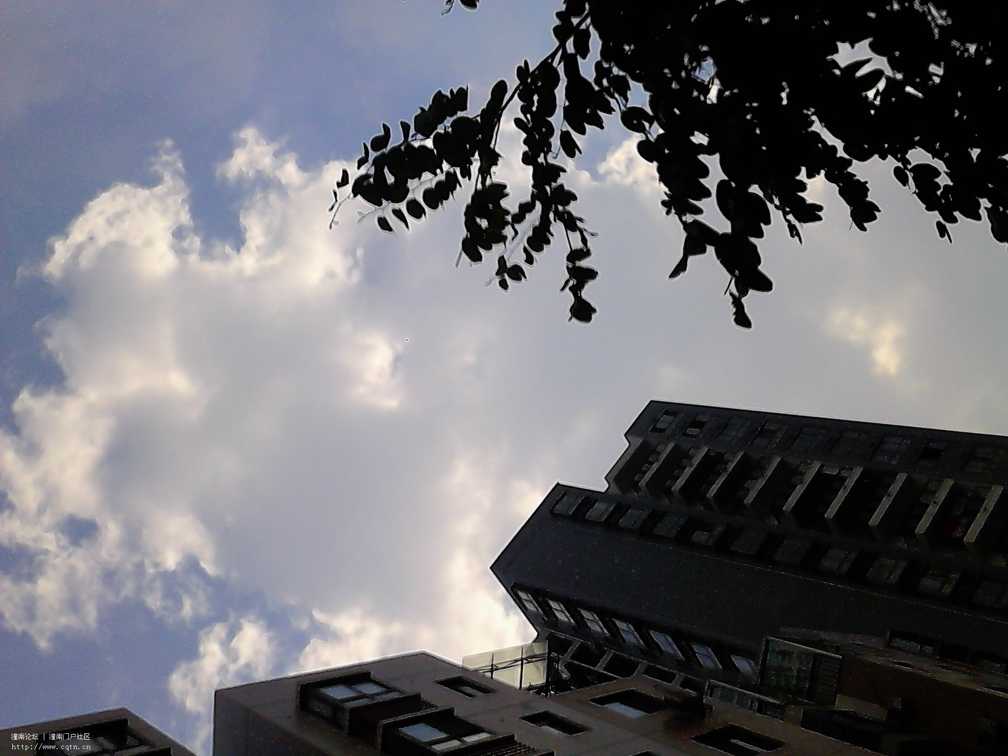 IMG_20130514_163230.jpg