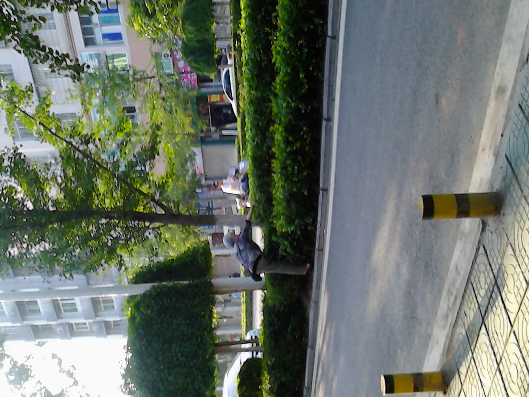 IMG_20130520_181203.jpg