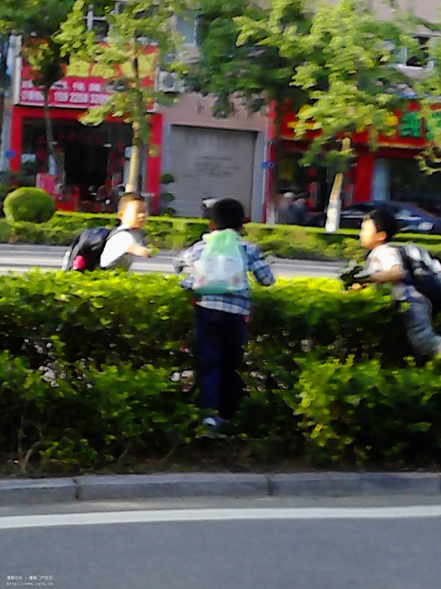 IMG_20130520_180006.jpg