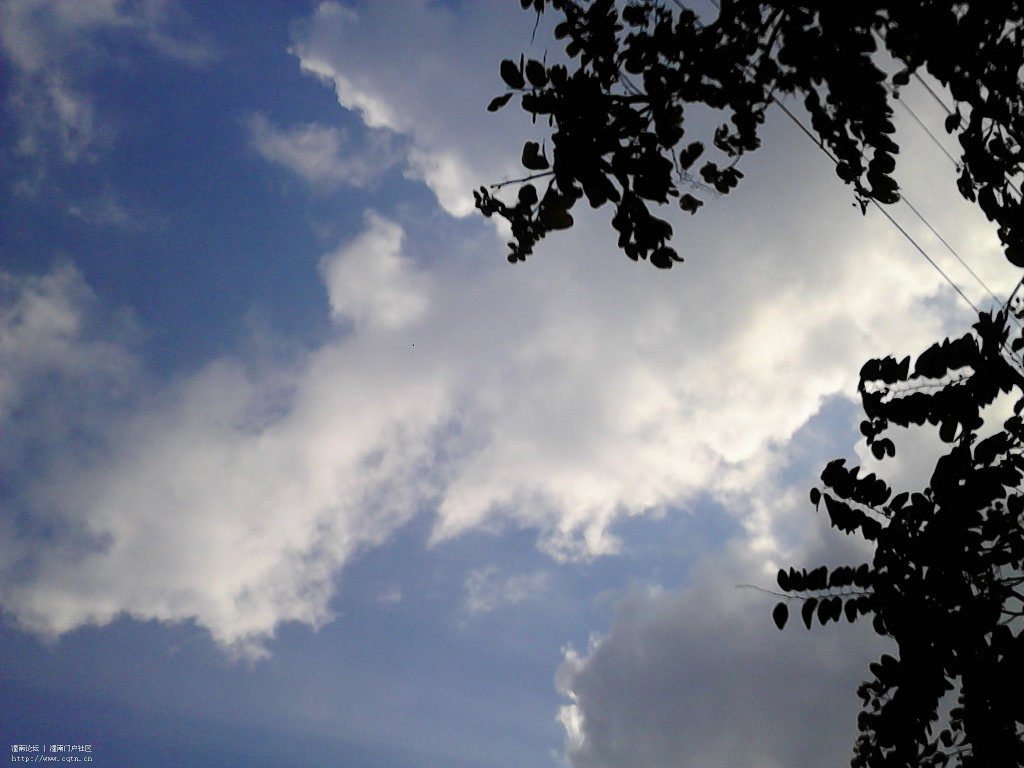 IMG_20130514_172859.jpg