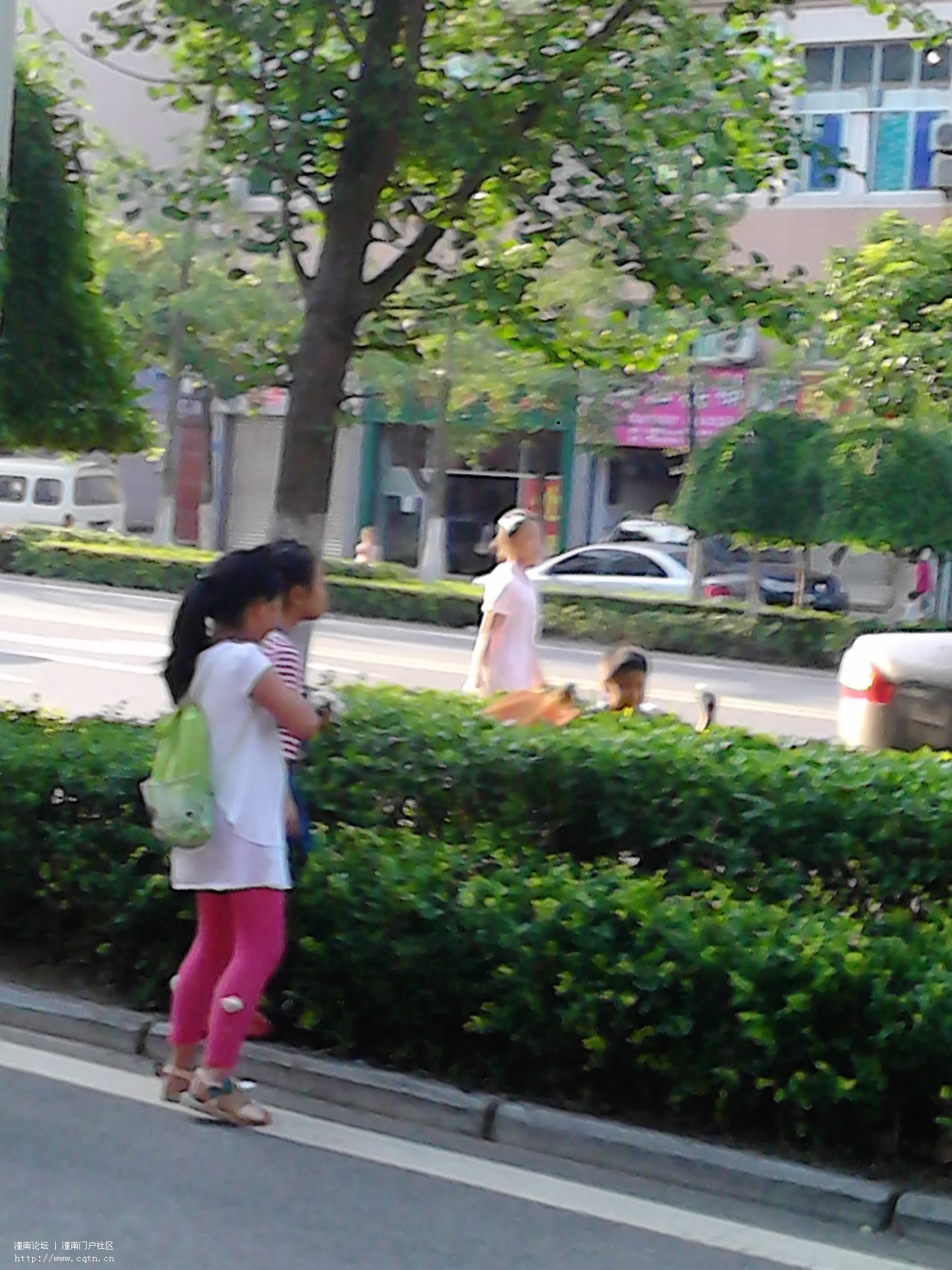 IMG_20130520_180438.jpg