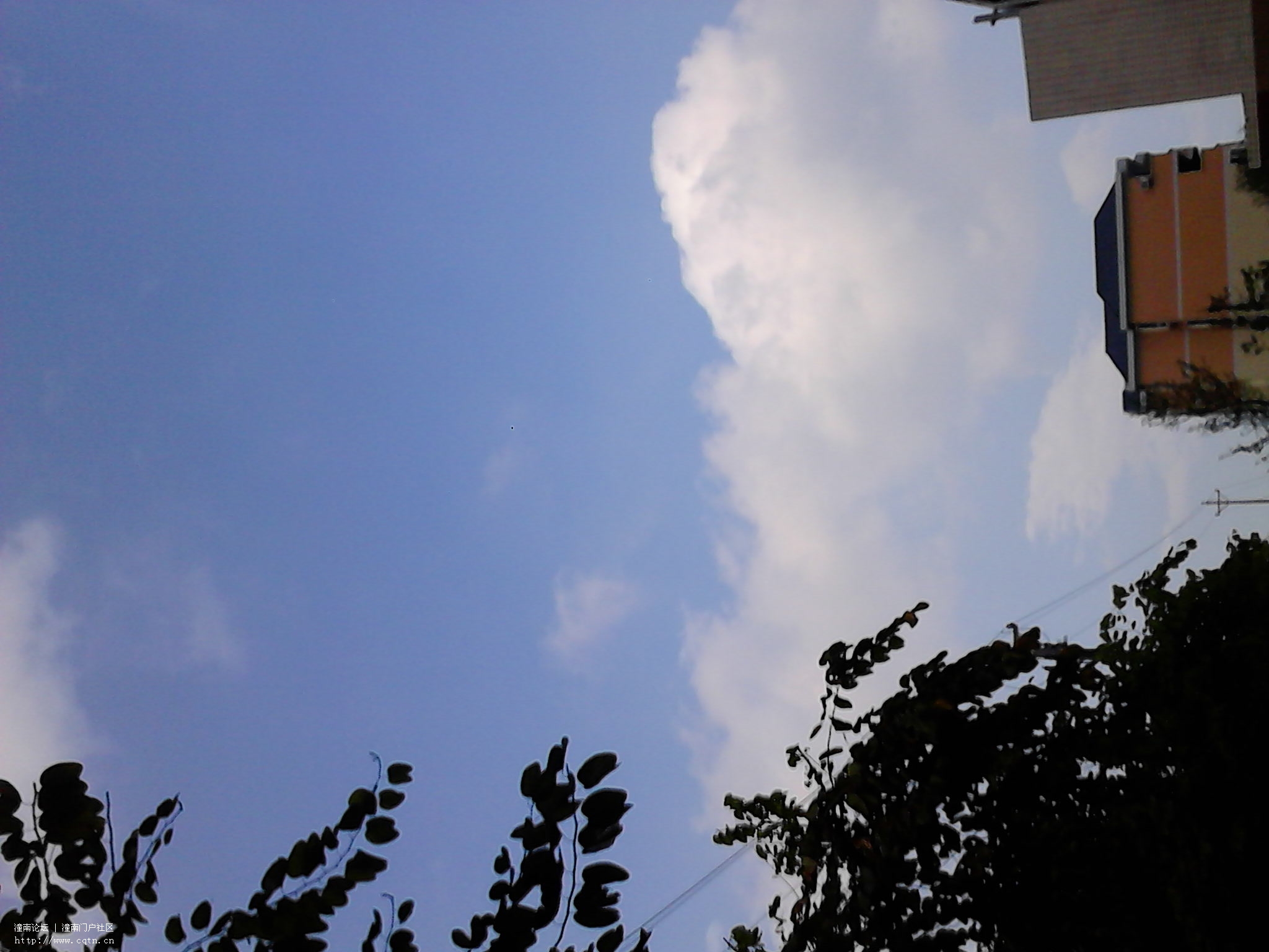 IMG_20130514_172854.jpg