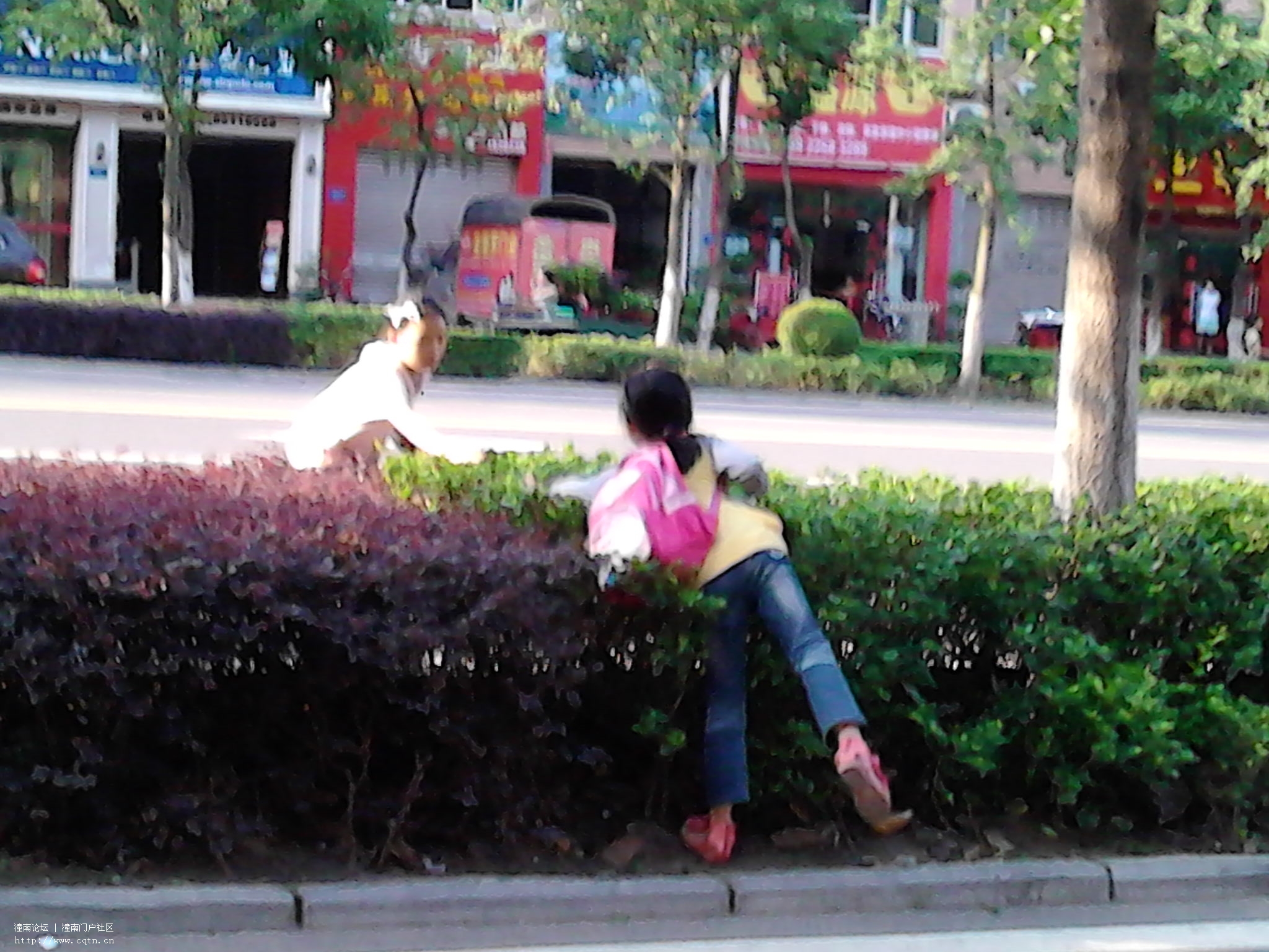IMG_20130520_180448.jpg