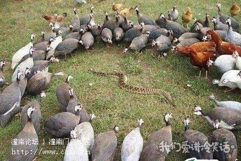 请输入描述