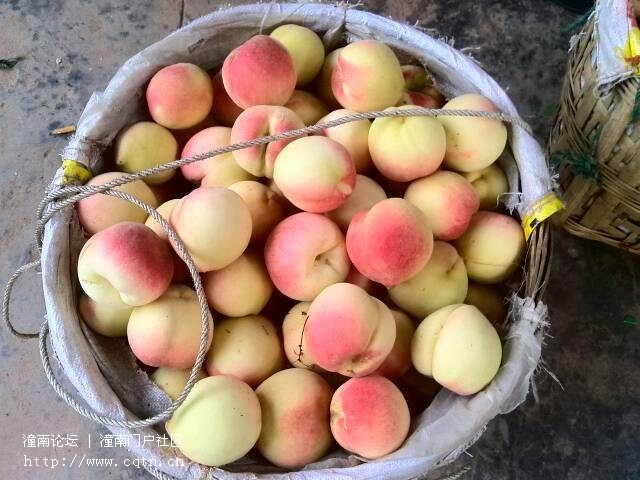 QQ图片20130627191852.jpg