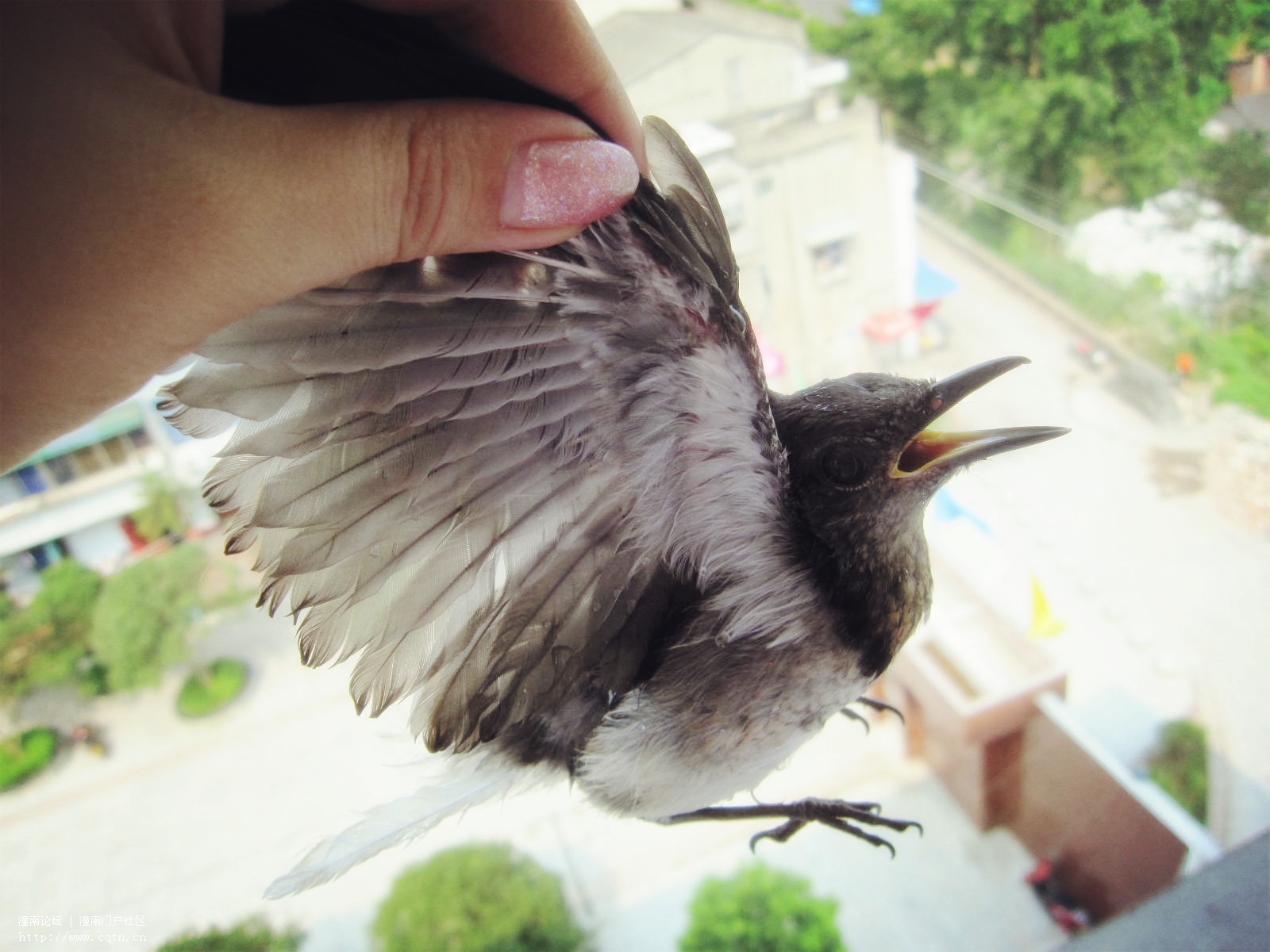 IMG_2643_副本.jpg
