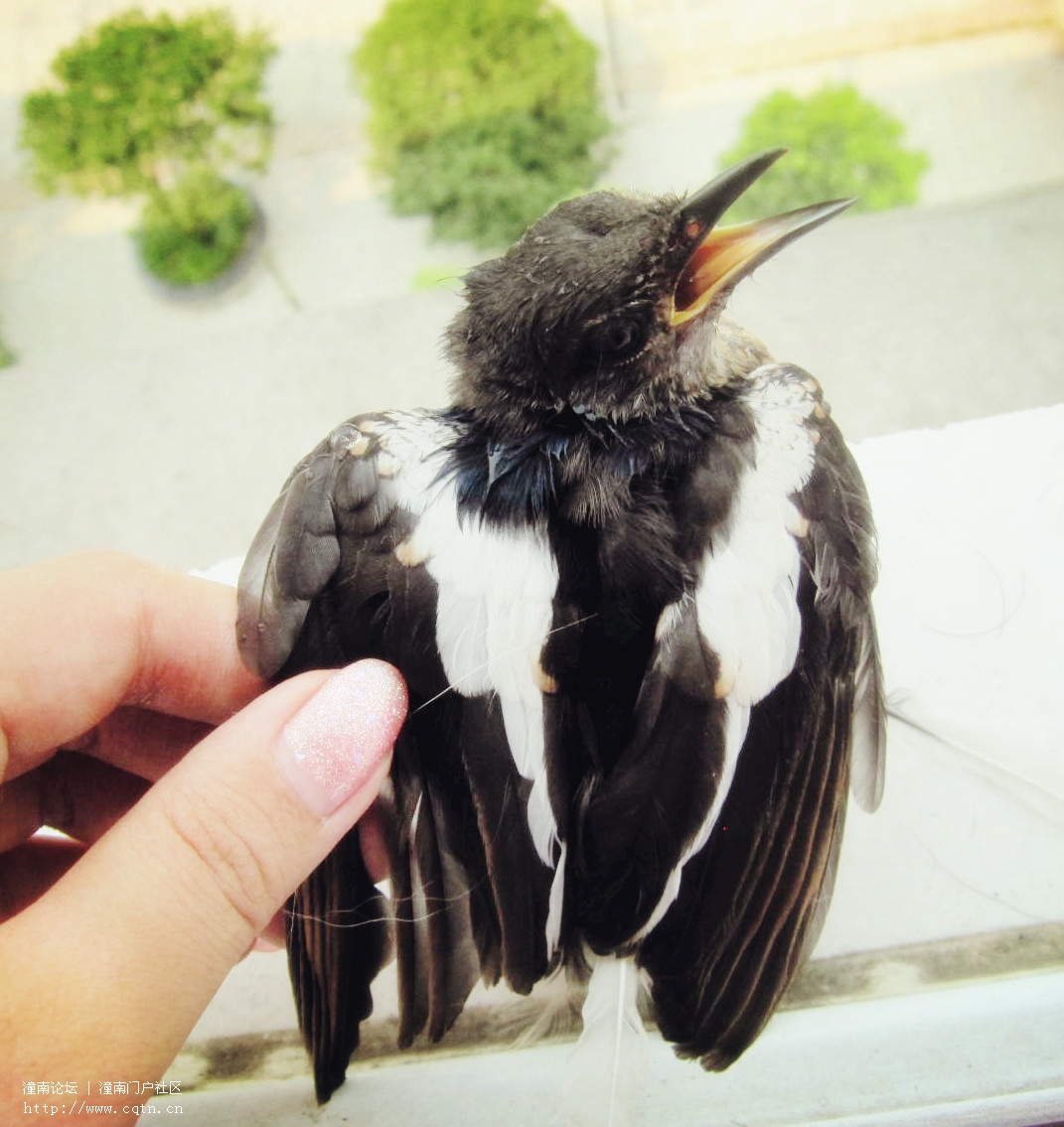 IMG_2644_副本.jpg