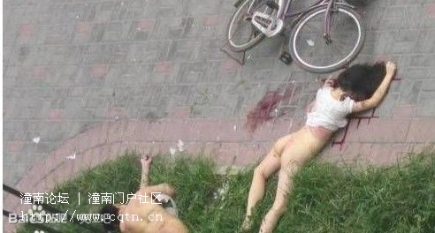 请输入描述