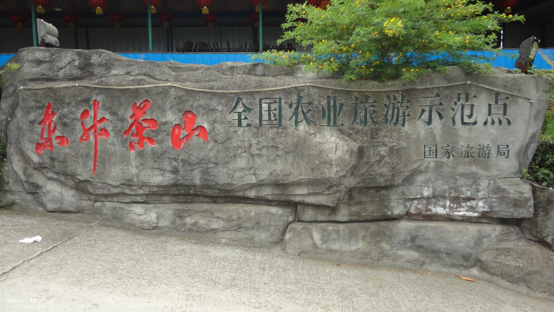 DSC01811.JPG