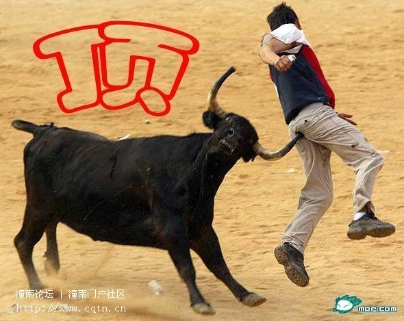 103.jpg