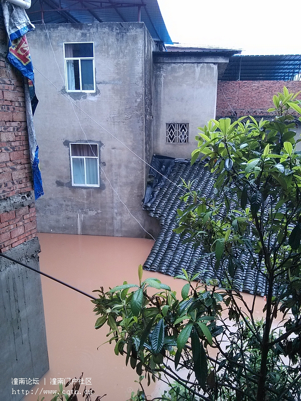 IMG_20130701_080304.jpg