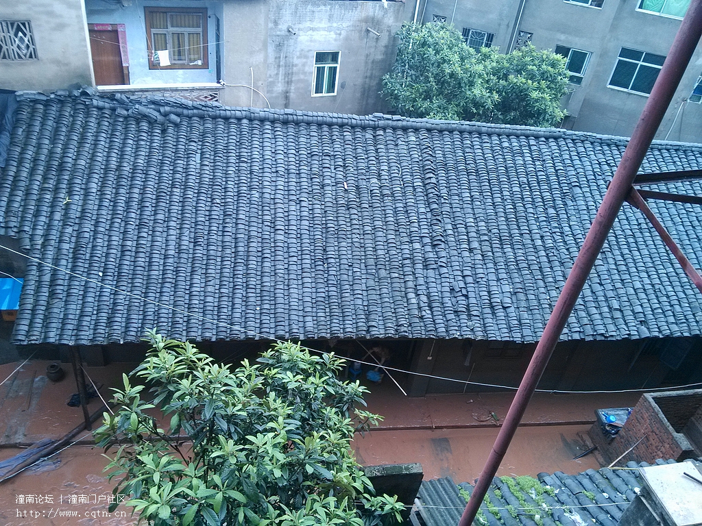 IMG_20130702_071653.jpg