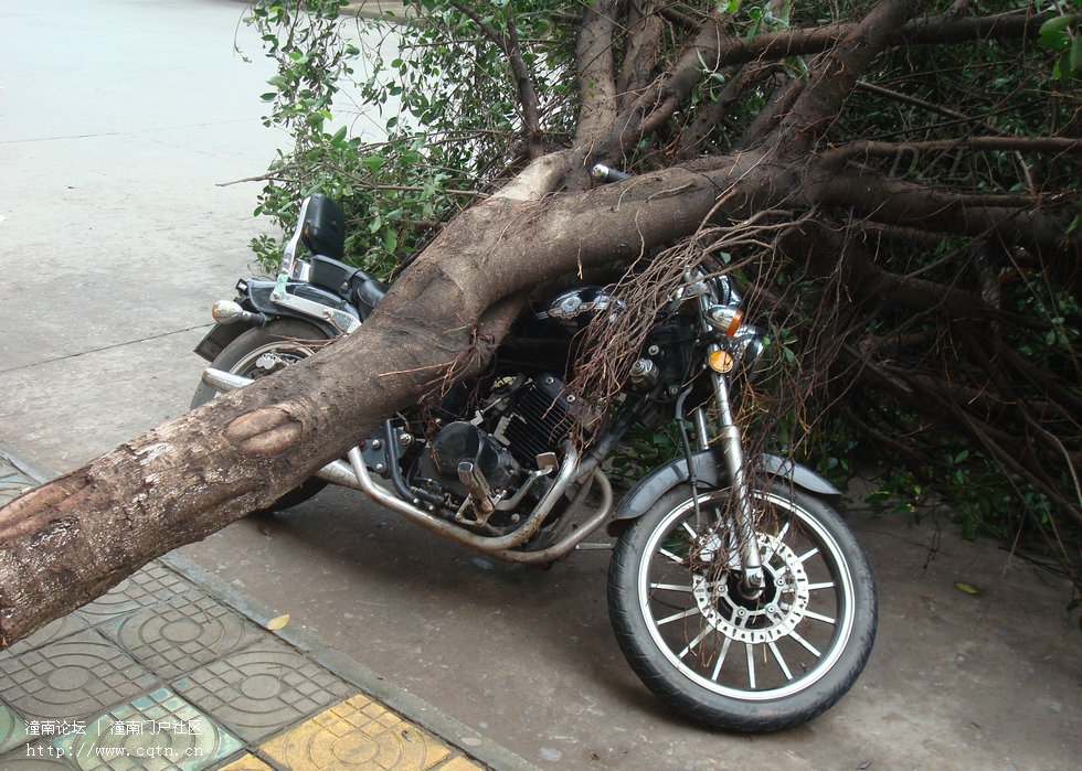 DSC01830b.jpg