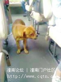请输入描述