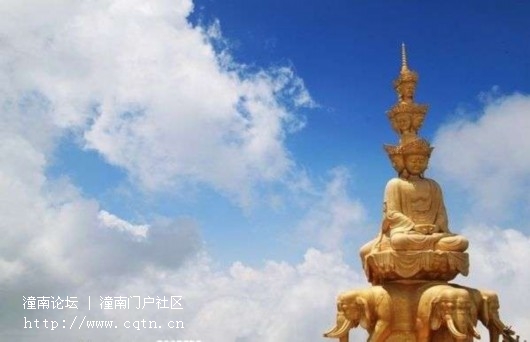 请输入描述